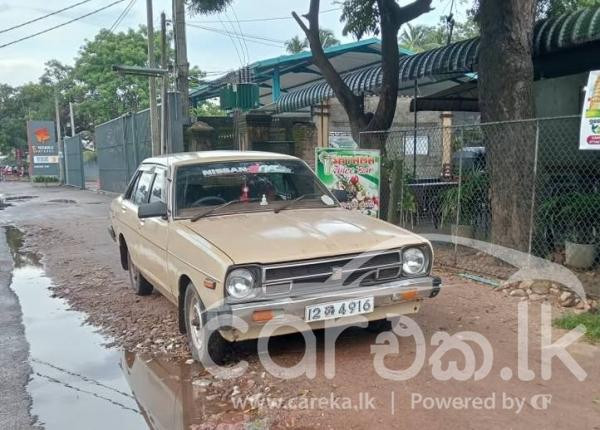 NISSAN SUNNY 1979