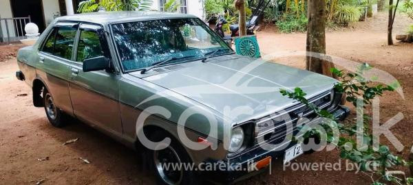 NISSAN SUNNY B310 1979
