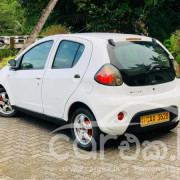 MICRO PANDA 2014