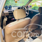NISSAN SUNNY HB11 1983