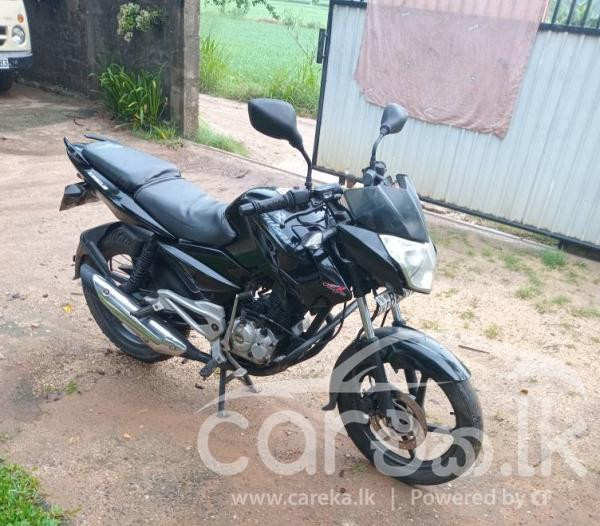 BAJAJ PULSAR 135 2015
