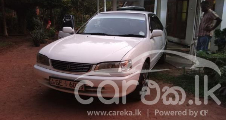 TOYOTA COROLLA 1998