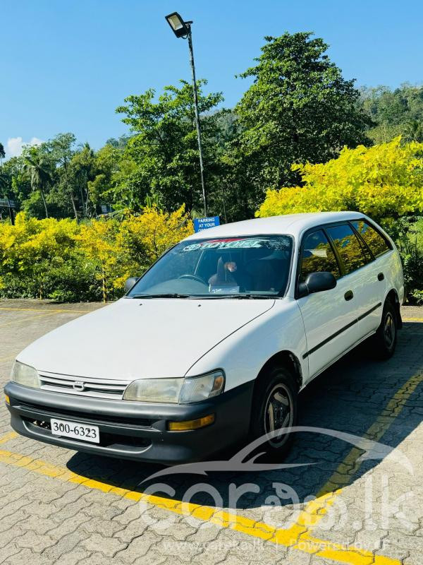 TOYOTA COROLLA 1995