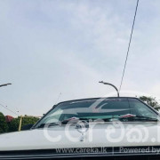 NISSAN SUNNY 1984