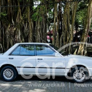 NISSAN TRAD SUNNY 1989