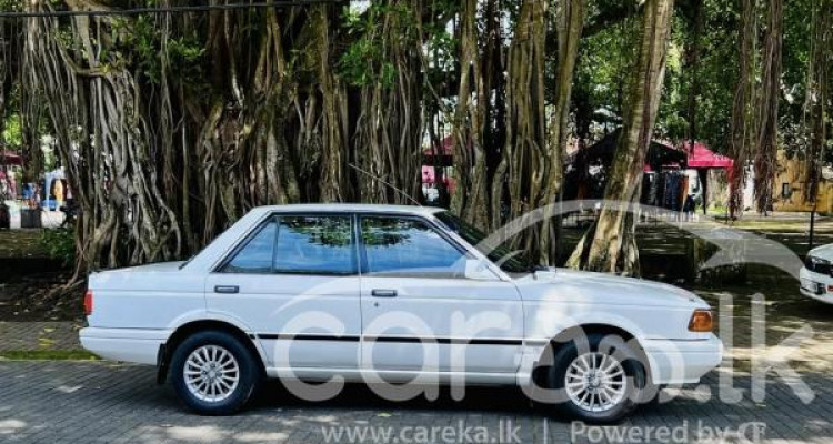 NISSAN TRAD SUNNY 1989