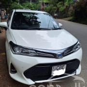 TOYOTA AXIO 2018