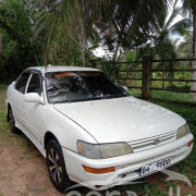 TOYOTA COROLLA CE100 1992