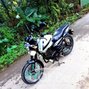 BAJAJ PULSAR 150 2005