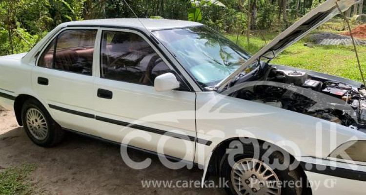 TOYOTA COROLLA 1991