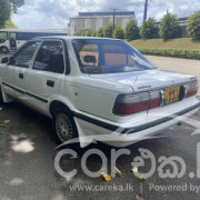 TOYOTA COROLLA 1991