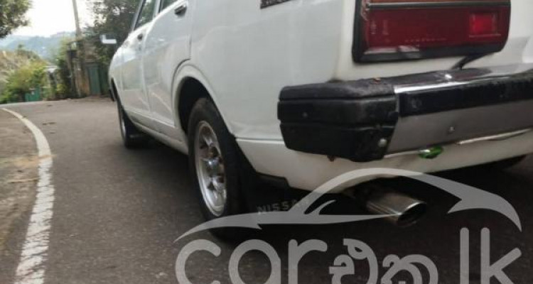 NISSAN SUNNY B310 1979