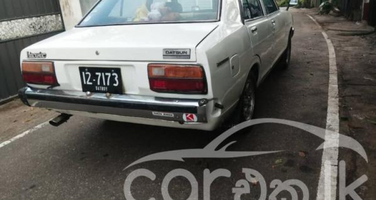 NISSAN SUNNY B310 1979