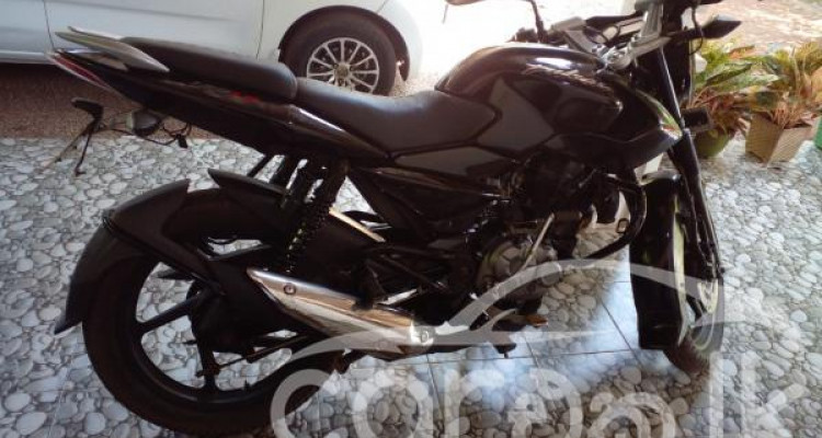 BAJAJ PULSAR 135 2011