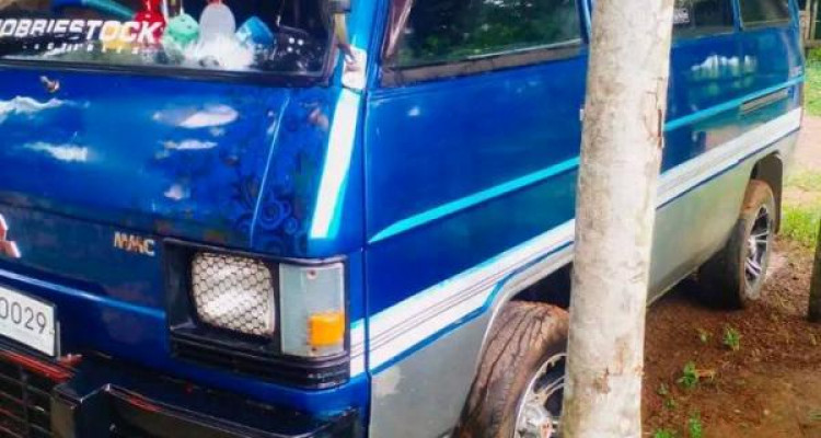 MITSUBISHI DELICA 1982