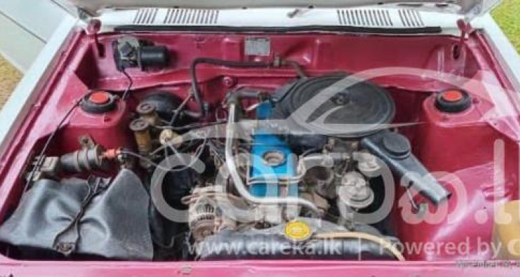 NISSAN SUNNY 1982