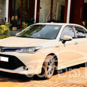 TOYOTA AXIO 2017