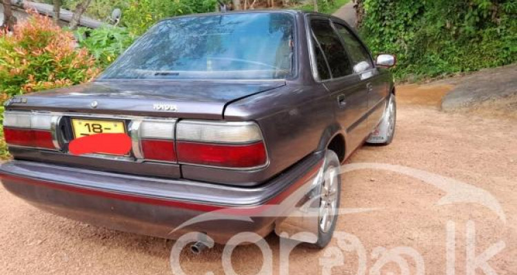 TOYOTA COROLLA 1991