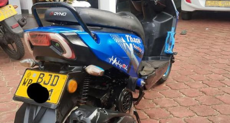 DYNO SCOOBY 2022