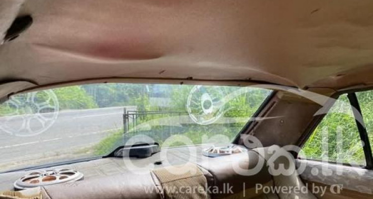 NISSAN SUNNY B310 1979