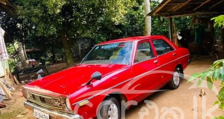 NISSAN SUNNY B310 1979