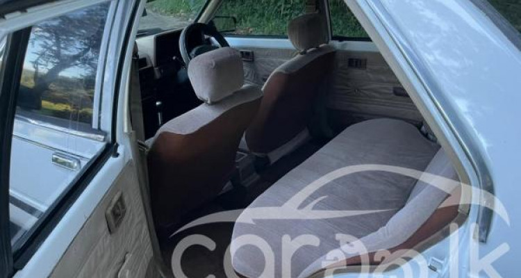 NISSAN SUNNY B11 1984