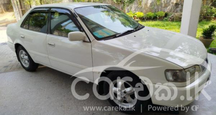 TOYOTA COROLLA 1998