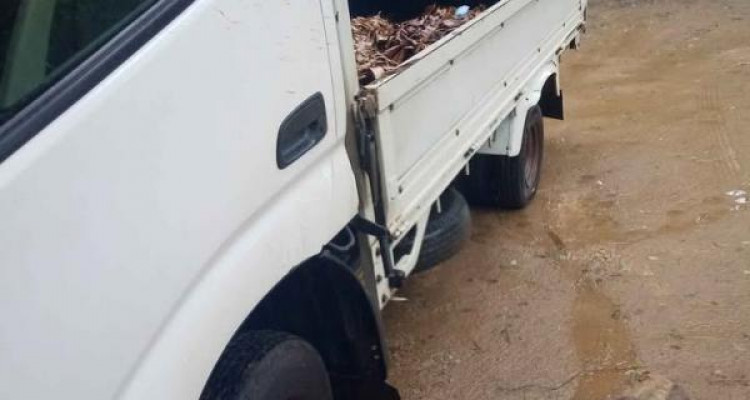 TOYOTA TOYOACE 2000