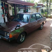 NISSAN SUNNY B310 1980