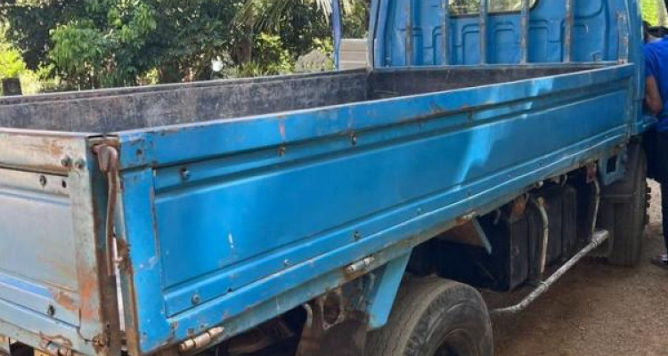 ISUZU ELF 1982