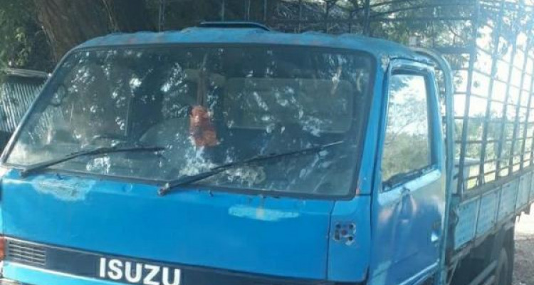 ISUZU ELF 1981