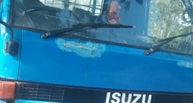 ISUZU ELF 1981