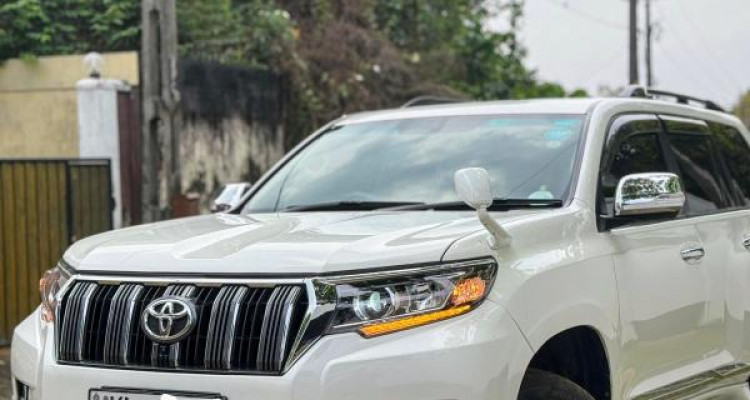 TOYOTA LAND CRUISER PRADO 150 2010