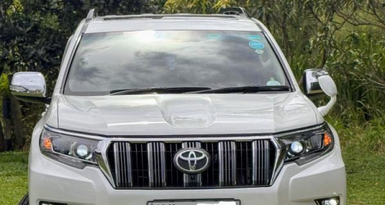 TOYOTA LAND CRUISER PRADO 150 2010