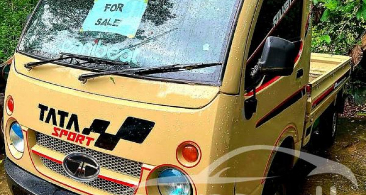 TATA ACE 2010
