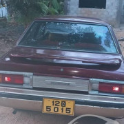 NISSAN SUNNY B310 1978