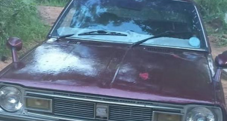 NISSAN SUNNY B310 1978