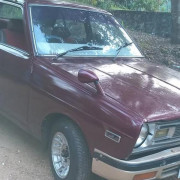 NISSAN SUNNY B310 1978
