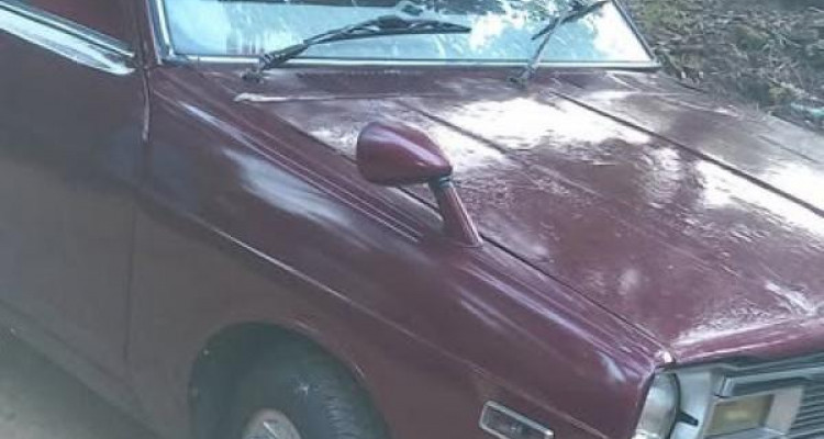 NISSAN SUNNY B310 1978