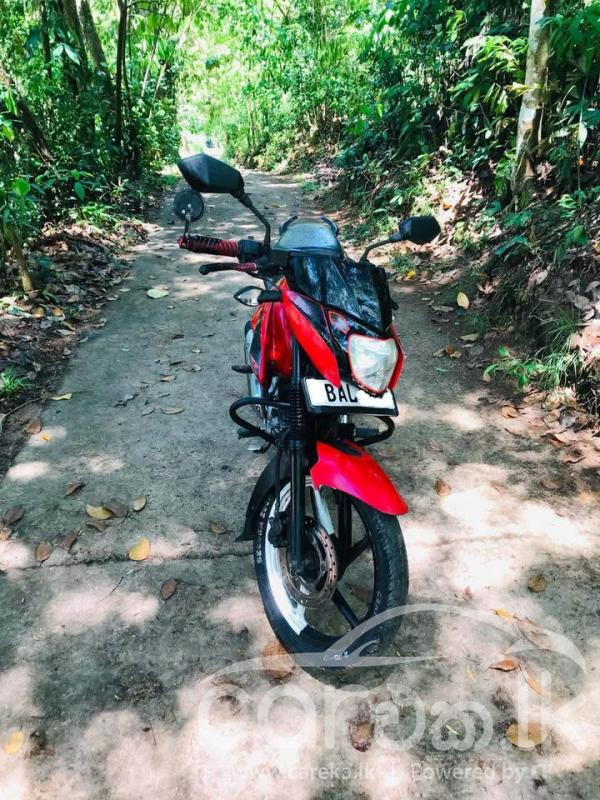 BAJAJ PULSAR 135 2013