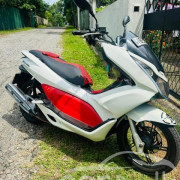 HONDA PCX 2014