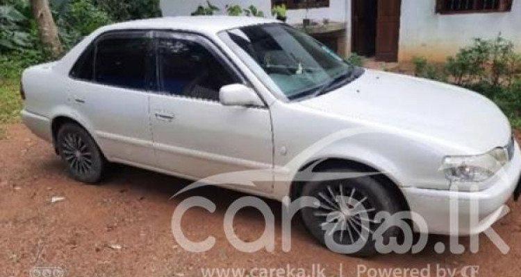 TOYOTA COROLLA 1998