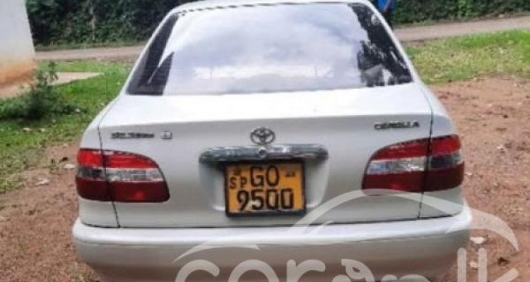 TOYOTA COROLLA 1998