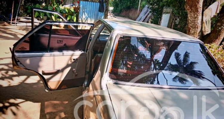 NISSAN SUNNY HB11 1983