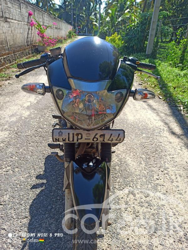 TVS APACHE 2008