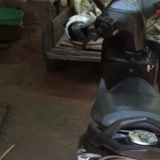TVS STRECK 2011