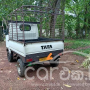 TATA ACE 2011