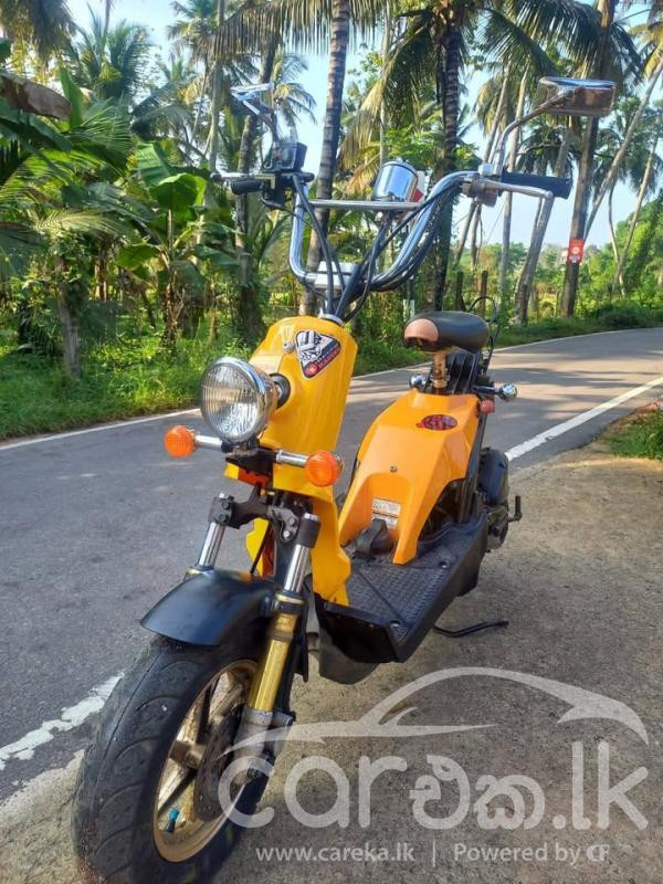 HONDA BITE 2024