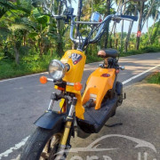 HONDA BITE 2024