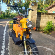 HONDA BITE 2024